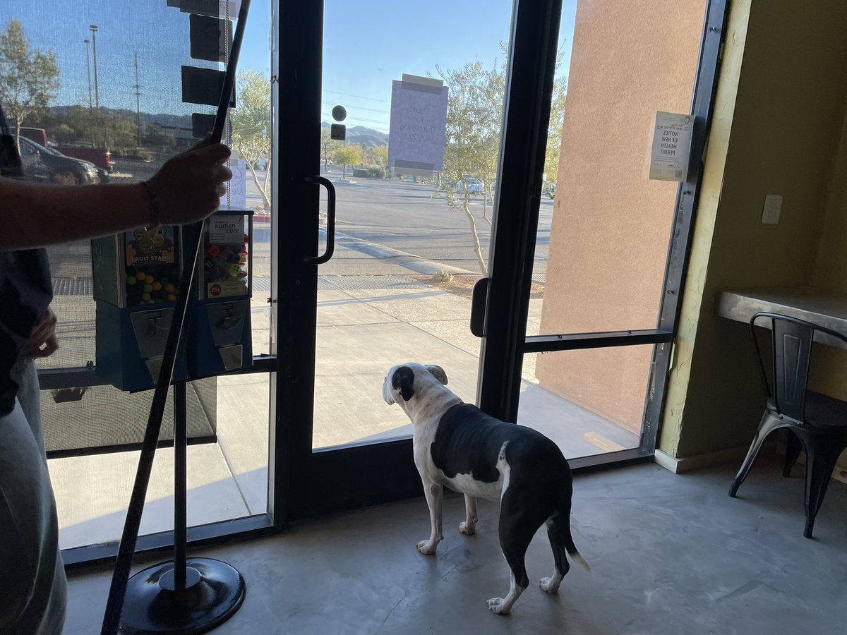 tostpizzaca's tweet photo. Our Buddha waiting for customers :) https://t.co/7ZPAhtYTiI