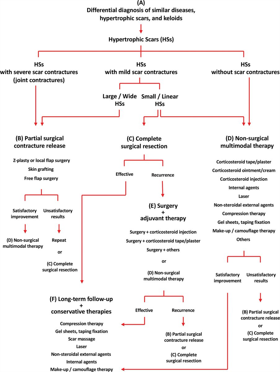 prsjournal's tweet photo. PRS Online First:  The Most Current Algorithms for the Treatment and Prevention of Hypertrophic Scars and Keloids: A 2020 Update of the Algorithms Published 10 Years Ago https://t.co/mIUiHPId4B #PlasticSurgery #OnlyinPRS #PRSJournal https://t.co/vWMOGmBQ4v