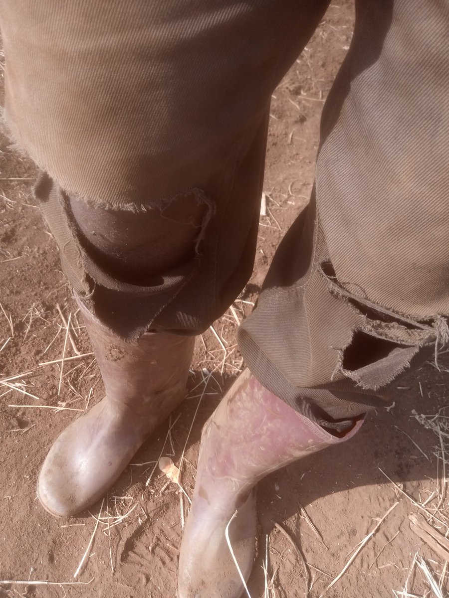 jkwasikye's tweet photo. If hard work is a harder burden to bear, be sure,that poverty will be the hardest of burdens for you. #FarmGates #FarmingLife @farmgatesug https://t.co/isBvAffOje