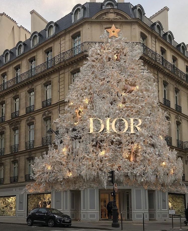 diorballerina's tweet photo. It’s This Time of Year ✨ https://t.co/eMB39CHFKr