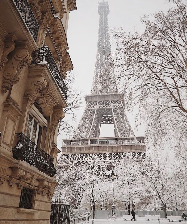 diorballerina's tweet photo. It’s This Time of Year ✨ https://t.co/eMB39CHFKr