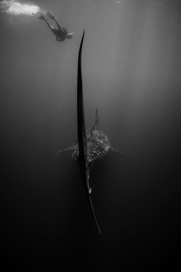 aris maryanto (@aris4fun) on Twitter photo 