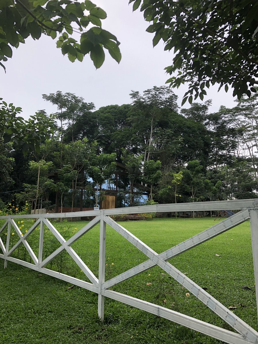 ThisIsBloop's tweet photo. The best place to do some thinking and strategic planning. 🌳 🏞️ https://t.co/oGz0x8oPEB