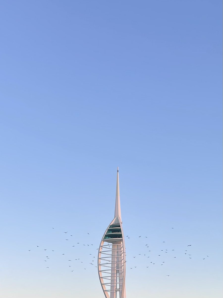 Final shot of yesterday morning’s kit of pigeons that were flying around the Spinnaker Tower 🐦

#portsmouth #oldportsmouth #pigeons #kitofpigeons #spinnakertower #sunrise #earlymorningwalk #bbcsouthnews #capturingbritain_nature