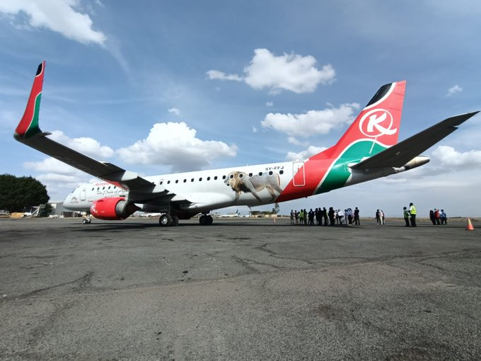 AKenyanGirl's tweet photo. A long overdue move, the partnership between KTB and KQ.

Our wildlife are unparalleled icons and ambassadors for Kenya, and for our tourism industry.

And my fave chonky girls, Najin and Fatu are on the plane! I wish Sudan was here.
💕🦏🐘🦁
#FlyTheMagic #TembeaKenya https://t.co/28k3pLVkbl