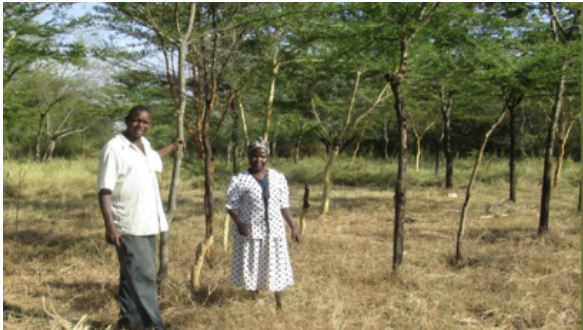 LandcareGlobal's tweet photo. Online Event: Developments in Global Forest Restoration Forestry Australia presents Tony Rinaudo @WorldVisionAus 
&amp; Talia Liney @EvergreeningA  Restoring woody #Vegetation  on #degraded  land, social &amp; environmental benefits 2 Dec 5:30pm (AEDT)
https://t.co/47TnOlIKZ2 https://t.co/tIrCtKg1aL