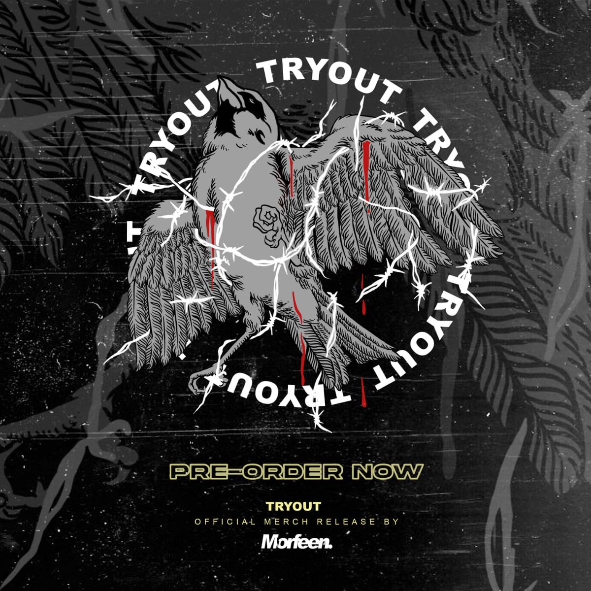 Tryout_MLG tweet media