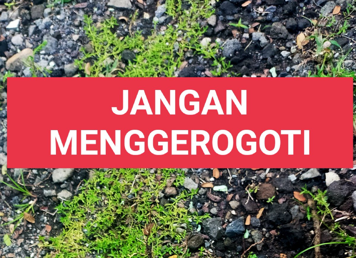 pusat Bibit cabe Sidoarjo (@ceritasisikanan) on Twitter photo JANGAN MENGGEROGOTI. tubuhnya mulai dari usus,hati, jantung, paru paru, lambung dll.digerogoti / dimakan oleh sosok itu. terinspirasi kisah nyata. <a href="/bacahorror/">bacahorror</a> #bacahoror <a href="/IDN_Horor/">Horor Indonesia</a> JANGAN MENGGEROGOTI. tubuhnya mulai dari usus,hati, jantung, paru paru, lambung dll.digerogoti / dimakan oleh sosok itu. terinspirasi kisah nyata. <a href="/bacahorror/">bacahorror</a> #bacahoror <a href="/IDN_Horor/">Horor Indonesia</a>