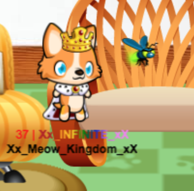 I am infinite's friend, and his spy (in meow playground, peoples like roleplaying). this is infinite-