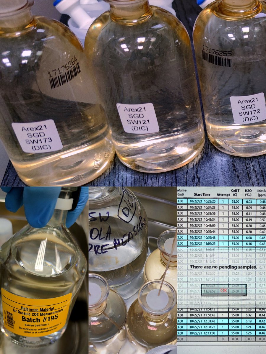 ArcticSgd's tweet photo. All the seawater and freshwater samples (collected during Arex2021 cruise to Svalbard) analyzed for DIC.

#EEANorwayGrants #ncn #sgd #dissovedinorganiccarbon #ArcticSGD #cruise #IOPAN #arctic #submarinegroundwaterdischarge #climatechange #ocean #beataszymczycha #RezaSaghravani https://t.co/DQLZngIaf7