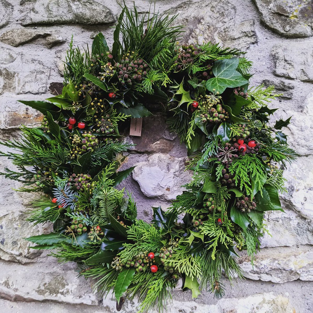 LittleValleyWls's tweet photo. It's that time if year... Wreath and garland making has begun!
#freshflowers #grownnotflown #woodlandwalk #littlevalleywales
#growyourown #homegrown #holly #christmas https://t.co/Ql40MVMl93