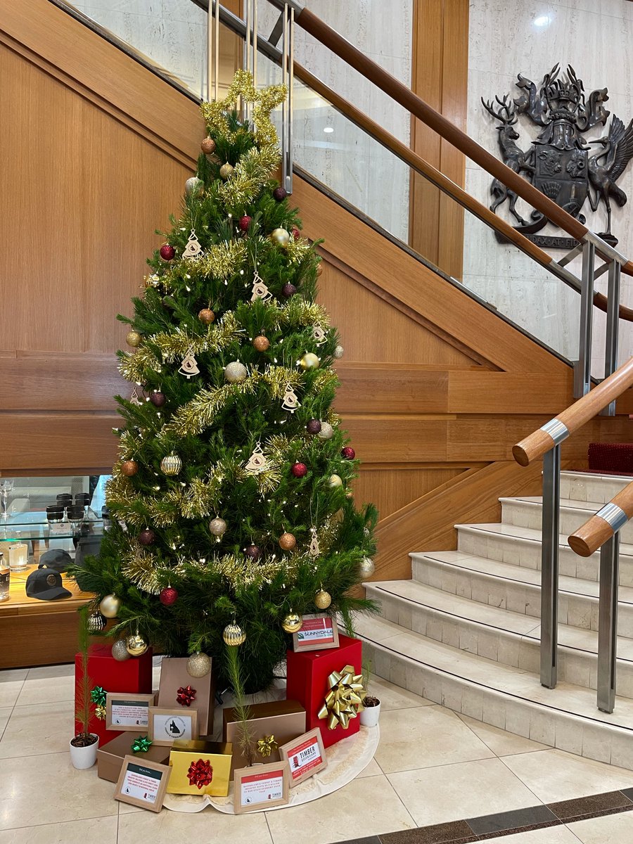 Timber Queensland tweet media