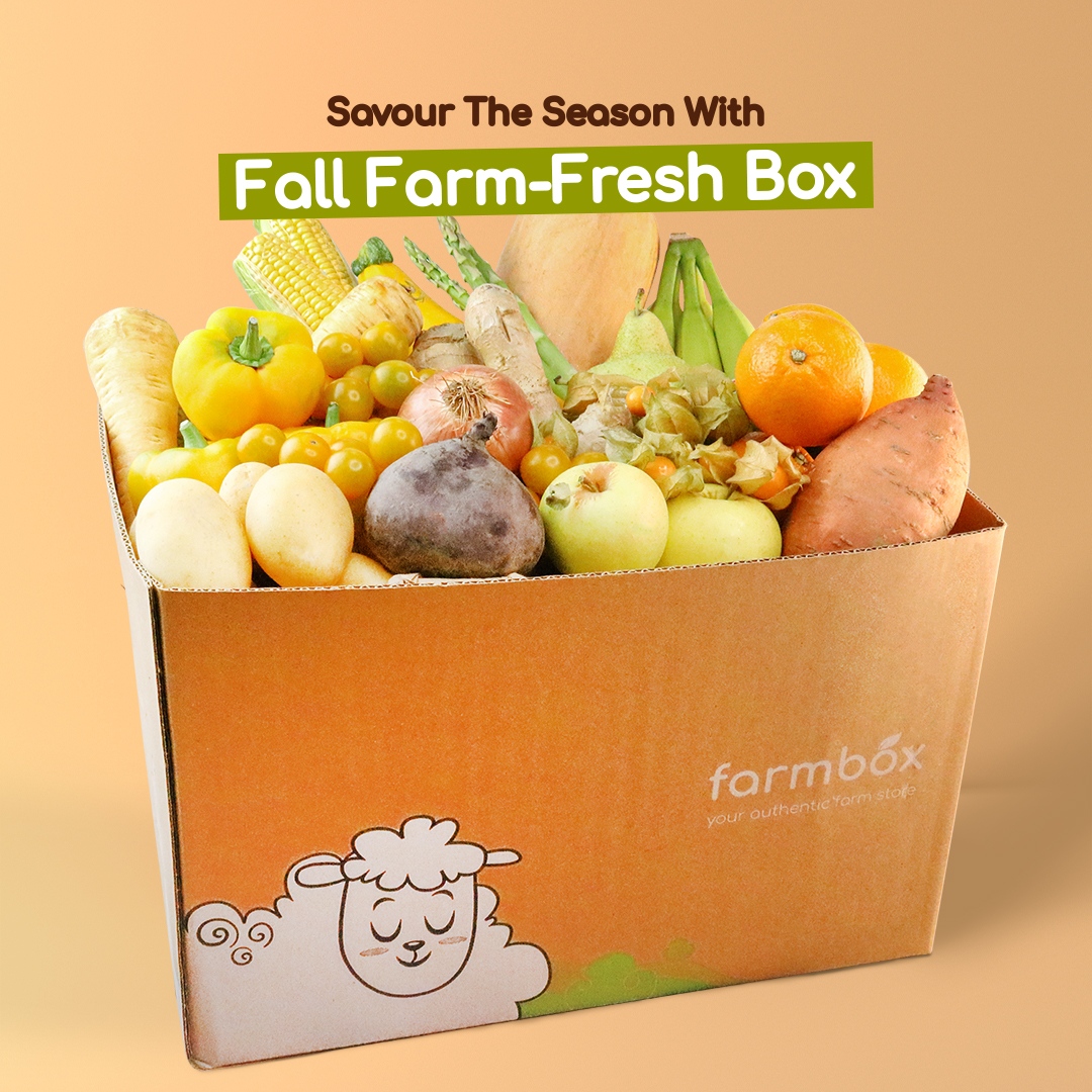 FarmboxUAE's tweet photo. Make Thanksgiving dinner a memorable one: Fresh and homemade with our farm-fresh Fall Box🍁📦
Click the link https://t.co/BwedFFa1NA to choose your Farm-Fresh Fall Box today!
#farmboxuae #farmbox #myfarmbox #festiveseason #celebration #family #thanksgiving #thanksgivingday https://t.co/29DHCwu67g