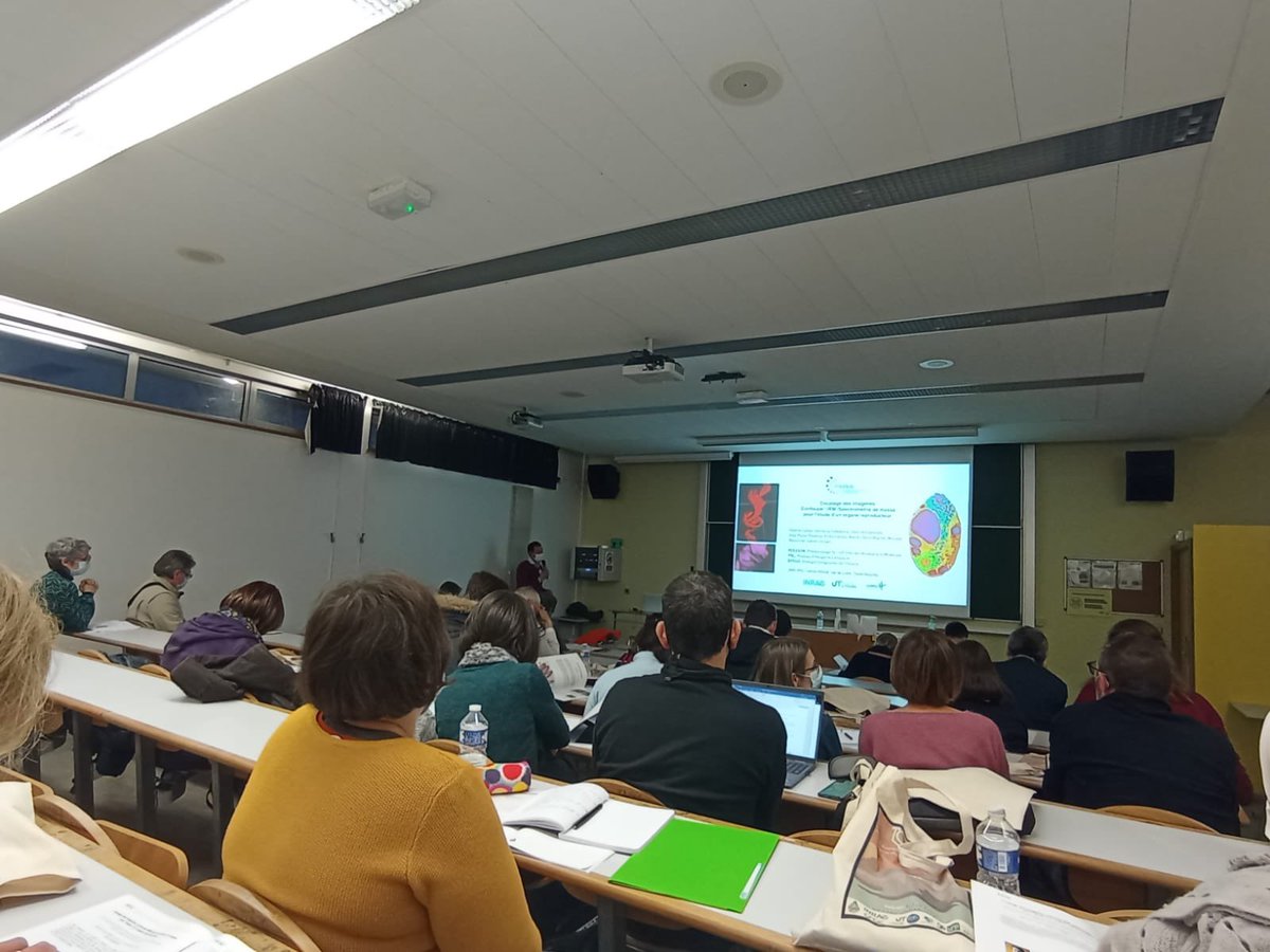 CLangevin_INRAE's tweet photo. Le rdv JST fes microscopistes de l inrae @rmuI a été l occasion de parler de #transparisation, #organoides #imageriecorrelative. Très belles conférences avant des ateliers pratiques animés par des passionnés ! Merci..@INRAE_VDL @MonicaFM_BIC https://t.co/DQq0ZUDssg