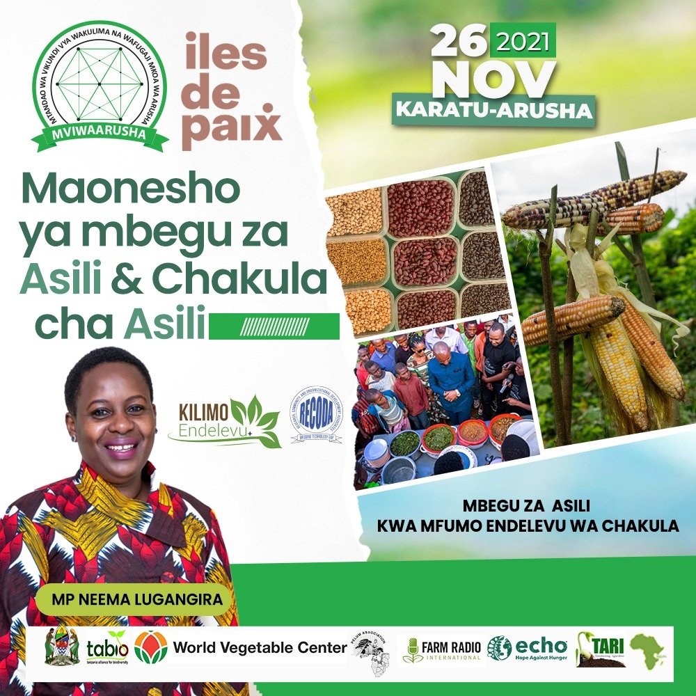 neemalugangira's tweet photo. I am pleased to be in #Karatu #Arusha to attend the Local and Indigenous Seeds and Foods Showcase Event organised by @IlesDePaix @mviwaarusha and RECODA.
#LocalSeeds #IndigenousSeeds are important to #endmalnutrition and are known to persevere amidst #climatechange
#LisheBora https://t.co/FBHgZaey16