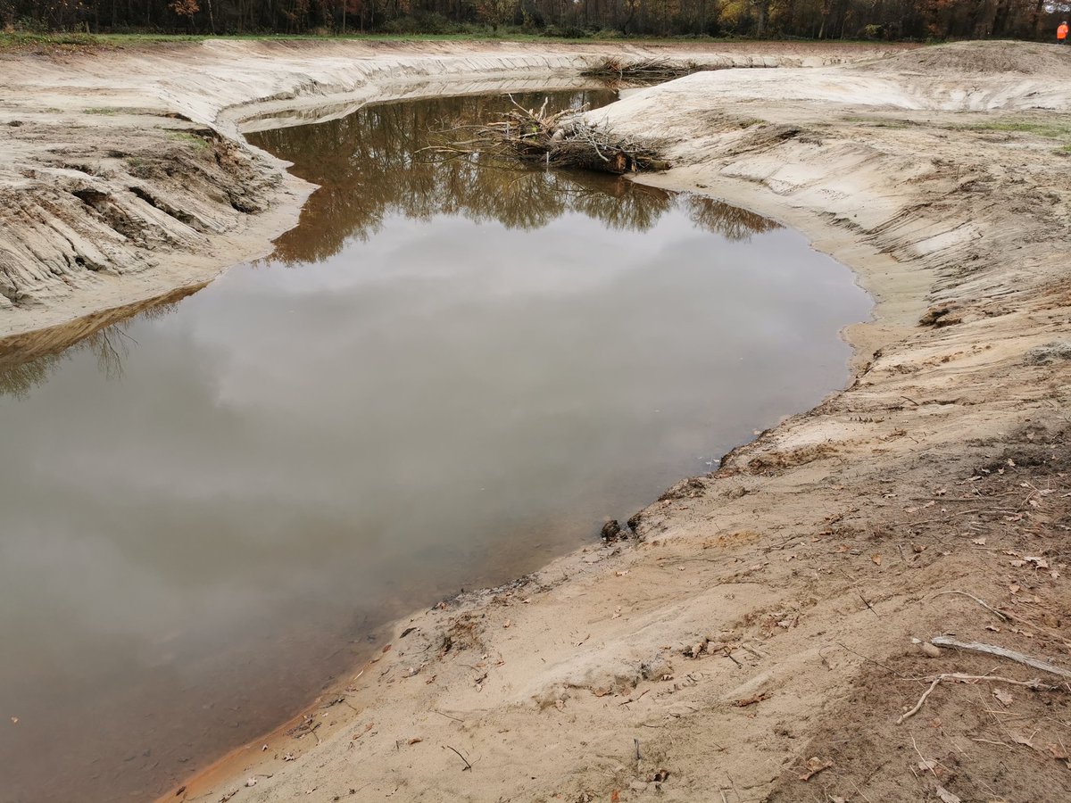 ThomasBerling's tweet image. Gleich zwei Projekte in der Flussaue der Vechte geben der Natur mehr Raum. In #Nordhorn und #Quendorf wurden neue Gewässer erstellt und dem Fluss mehr Länge und Naturraum gegeben. #naturschutzstiftunggrafschaftbentheim #grafschaftbentheim #nlwkn #vechte #vecht