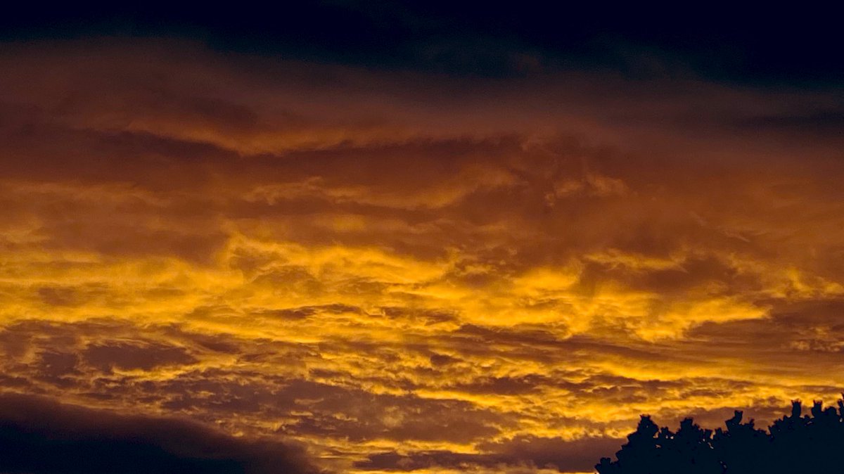 Bus #19035 tweet media