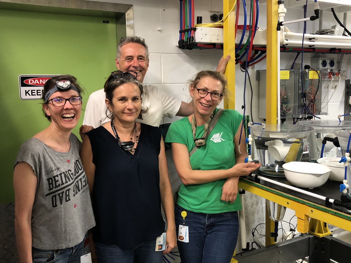 Line K Bay (@linekbay) on Twitter photo Welcome to Séverine <a href="/SFourdrilis/">Séverine Fourdrilis</a> to <a href="/SeaSim_AIMS/">SeaSim</a>. Marie Curie Fellow and finally in Australia to work on CRISPR in corals with <a href="/aims_gov_au/">Australian Institute of Marine Science</a> <a href="/pacleves/">Phillip Cleves</a> and @ird_nc. First coral babies in the tank - many more to come Welcome to Séverine <a href="/SFourdrilis/">Séverine Fourdrilis</a> to <a href="/SeaSim_AIMS/">SeaSim</a>. Marie Curie Fellow and finally in Australia to work on CRISPR in corals with <a href="/aims_gov_au/">Australian Institute of Marine Science</a> <a href="/pacleves/">Phillip Cleves</a> and @ird_nc. First coral babies in the tank - many more to come
