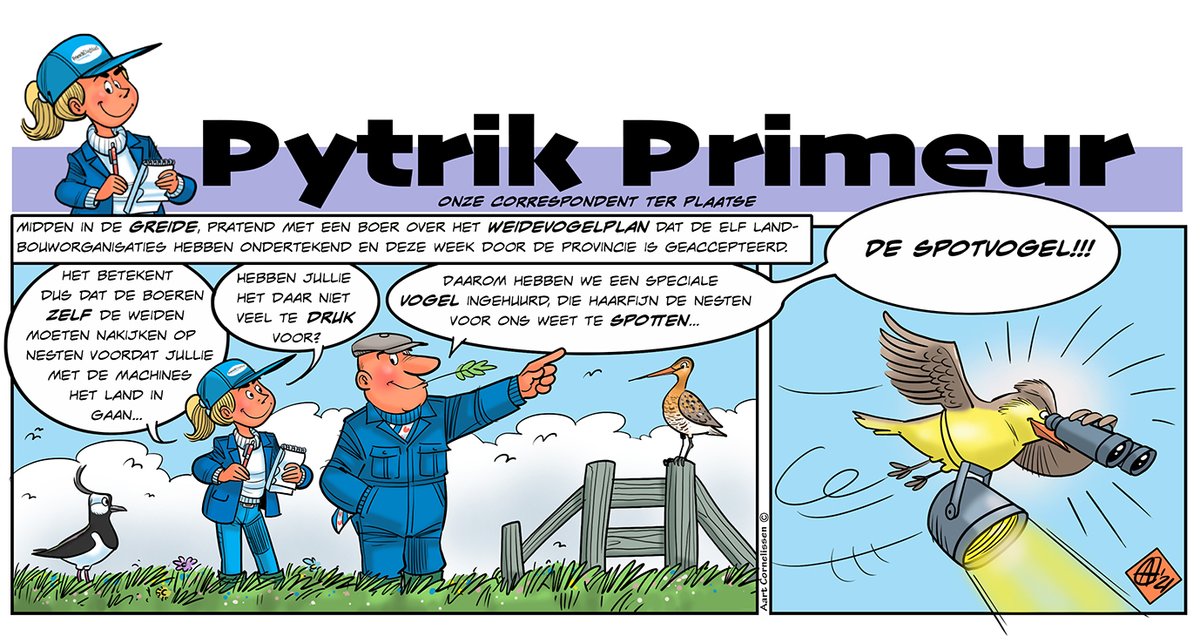 AartCornelissen's tweet photo. Pytrik Primeur in het Friesch Dagblad van vandaag #weidevogels #weidevogelplan #boeren @BFVW #greide https://t.co/VFpPj1Rclg