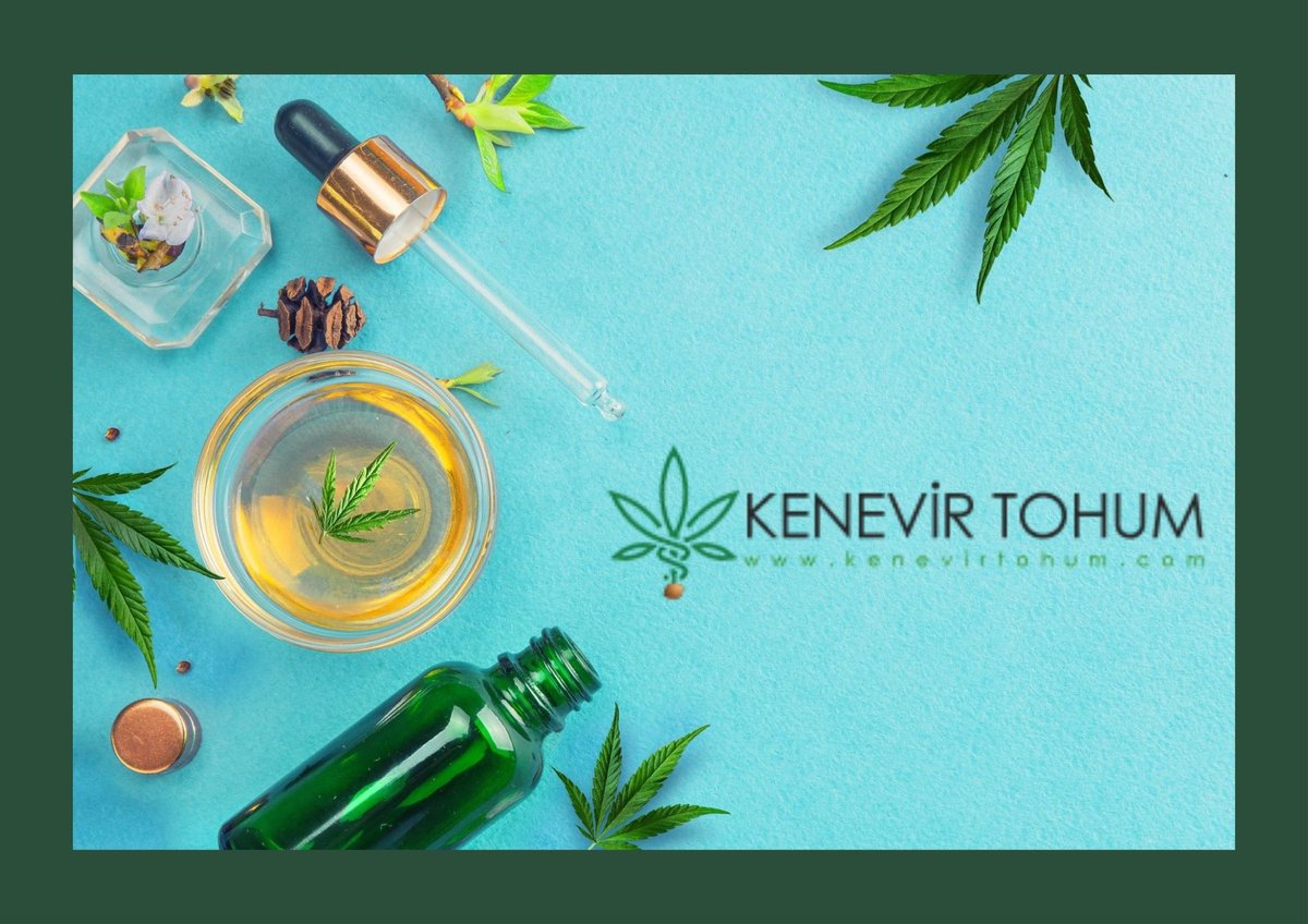 kenevir sağlıklı bir metabolizmayı destekler ve yağ yakımına yardımcı olur. Sağlıklı bir diyet sürdürmesine rağmen kilo kaybında sorun yaşayan kişiler, diyetlerine GLA ekleyerek zayıflama sürecini canlandırmaktadır.