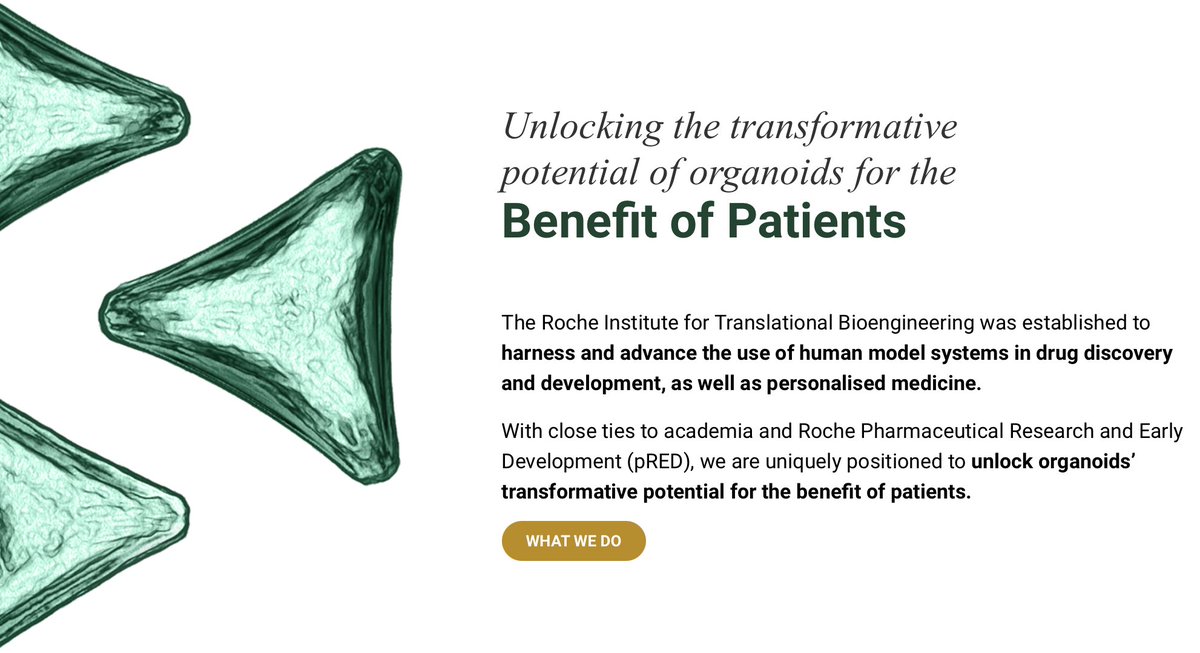 The Roche ITB has a brand new website: ritb.roche.com! Super excited to be able to shape the ITB together with an exceptional group of scientists &amp; engineers. A unique institute at the industry-academia interface to unlock the potential of #organoids for drug development
