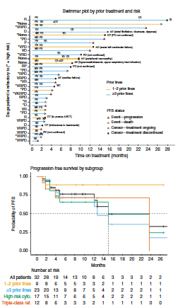 Myeloma_Doc's tweet photo. #Myeloma Paper of the Day: Once weekly #Xpovio/#Kyprolis/dex in #Kyprolis non-refractory #myeloma patients shows overall response rate of 78% and median progression-free survival of 15 months: https://t.co/ihvf3T4KBg. https://t.co/9u71DoQw6g
