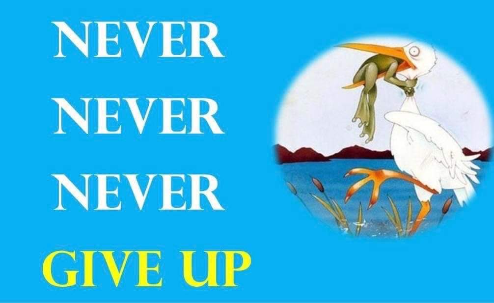 pguragain's tweet photo. Never Never Never Give up. #NeverGiveUp #Success #Motivation #Peace #ThisMoment #LiveHereAndNow https://t.co/yx8pWimDq2