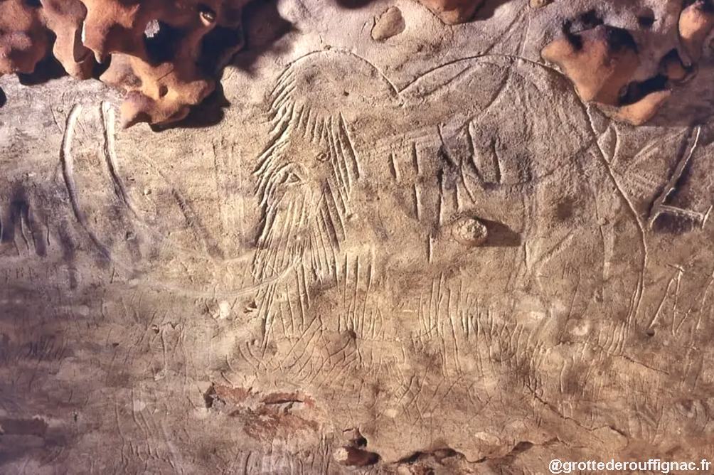 PreGraphity's tweet photo. Hi friends! On the last #FridayPaleoart of the month we are going to visit the well-known cave of the 100 mammoths! 🦣

Cave: #Rouffignac
Place: Rouffignac-Saint-Cernin, Dordogne
Motif: mammoth
Chronologist: #Magdalenian https://t.co/W4AxPHQ3BK