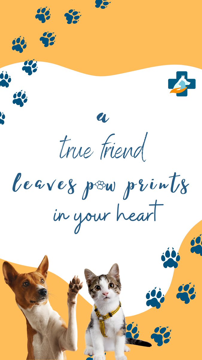PPBCC_Official's tweet photo. Now that's a true friend!🐾
#ppbcc
#ppbccfoundation https://t.co/jB3x04OJTq