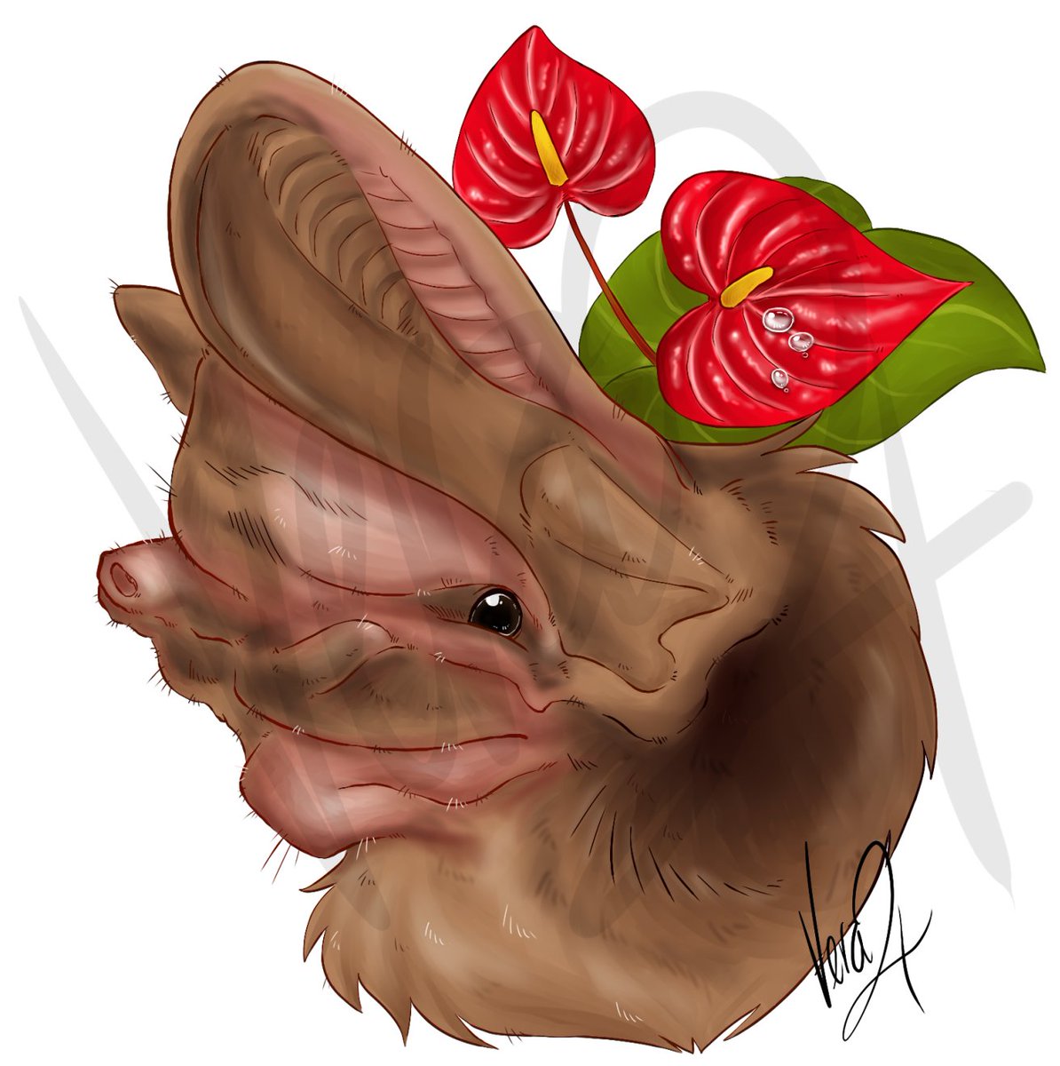 VederlichtArt's tweet photo. The Madagascar Free-tailed Bat. This guy was tough to draw, but I still had fun bringing him to life. #art #bat #bats #madagascarfreetailedbat #drawing #protectbats #batsarenotscary https://t.co/OWzvLPBSvB