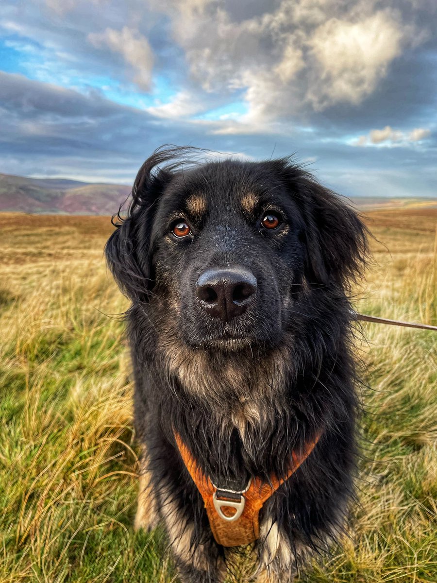 Keswick boot co tweet media