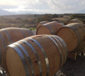 VdN Sweet natural wines. An underrated classic 🍫 - mailchi.mp/e74767e2a3d5/d… #vdn #rivesales #joiedevin