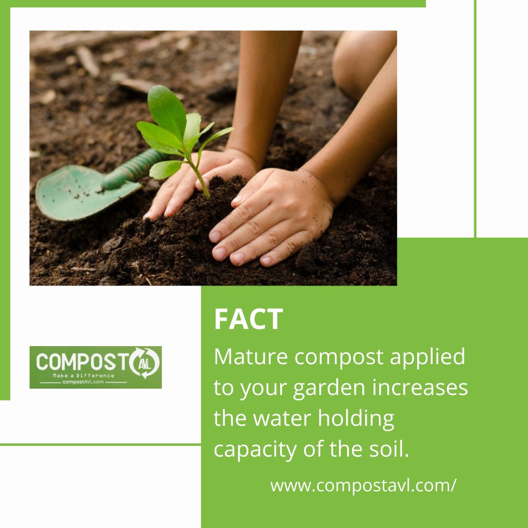 CompostAVL tweet media
