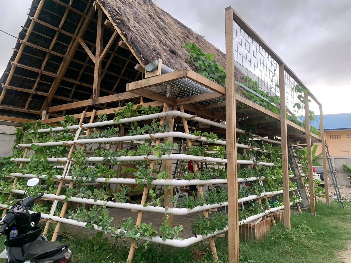 Youth-led green initiative in Timor-Leste

Meet Kiosk Matenek (KM), the winning youth group from Timor-Leste Accelerator Lab’s Green Building Design Challenge 2020 who just harvested their first vegetables range from their hydroponic wall.

Please visit tl.undp.org/.../youth-led-…...