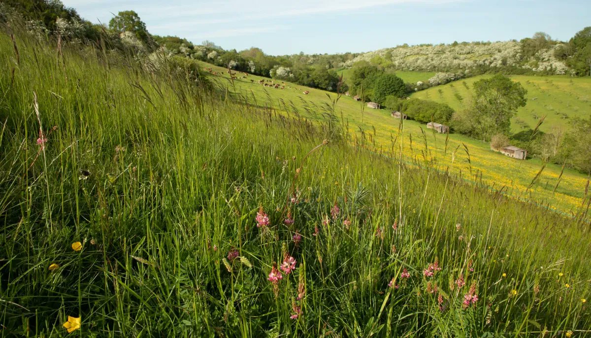 The GREAT Project has funding available for farmers in #Gloucestershire to help access training or educational events that can support your transition to #regenerativeagriculture 🌿

Find out more about our GREAT learning bursary: buff.ly/2YpRi6f