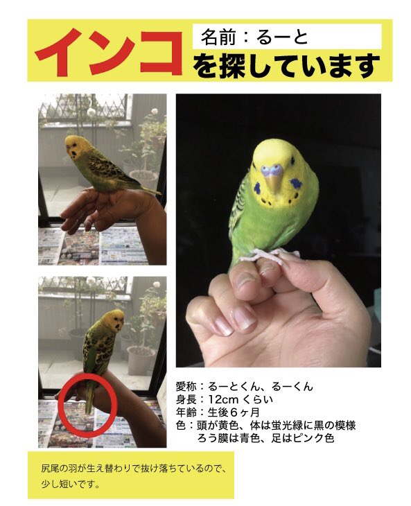 Iwa 熊本市東区 Tuki Tw Twitter