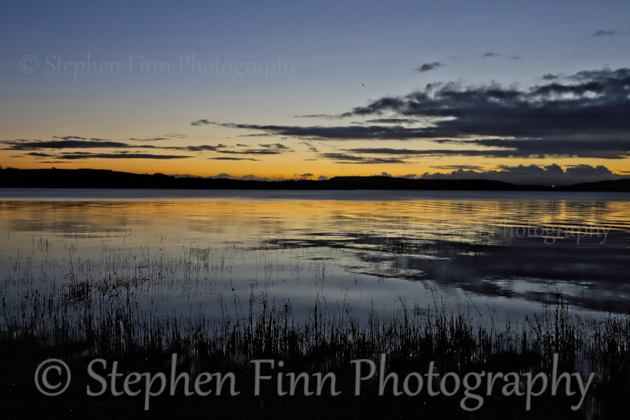 Stephen Finn Photography tweet media