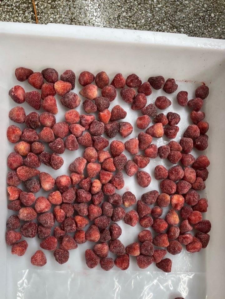 #IQF #food #fruit #frozen #foodservice #frozenfoods #foodbeverage #foodproduction #foodprocessing #IQF #strawberry #frozenfruit #frozenfood #foodservice #frozenfood #strawberry #foodbeverage #IQFfrozenstrawberry #IQFstrawberry #foodproduction #frozenvegetable #frozenstrawberry