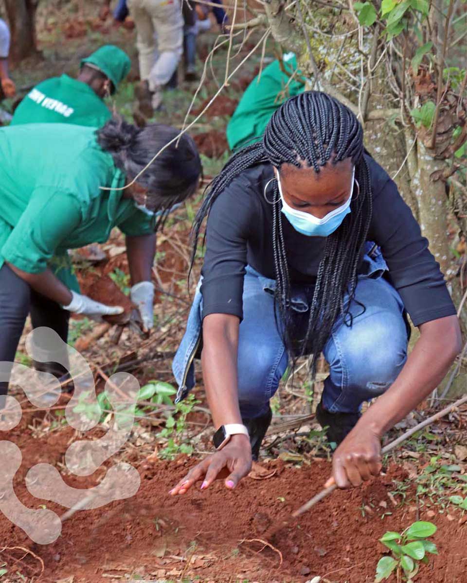 biobest_global's tweet photo. #FunFactFriday Did you know that Real IPM Kenya is playing its part in helping to reduce greenhouse gases with a major tree planting exercise at both its sites in Kenya? π³π³π³
#realipm #kenya #treeplanting #planttrees #climatechange #gogreen #didyouknow #biobest #biobestgroup https://t.co/GwhOHyakNH