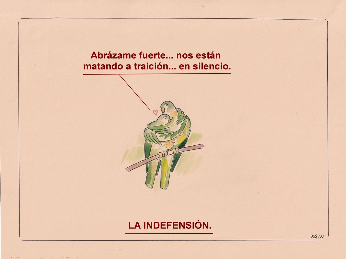 Mi viñeta de hoy viernes 26 de noviembre de 2021.
Algo muy triste en Madrid.