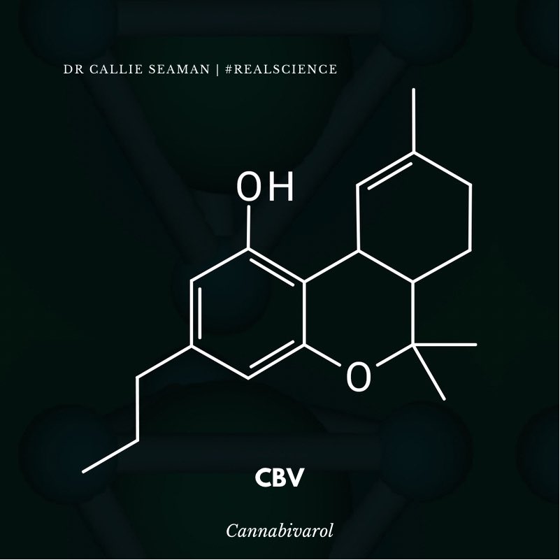 dr_CallieSeaman's tweet photo. This weeks #moleculeoftheweek is CBV , check out LinkedIn for full post but she is an interesting lady who takes no BS! https://t.co/xbZbkQc8Hs