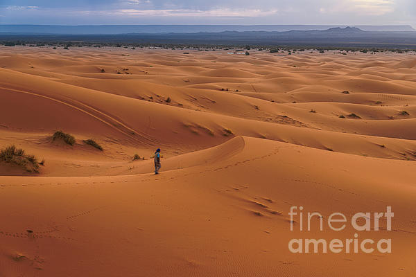 YuriSanNFT's tweet photo. New artwork for sale! - "Lone walk" - https://t.co/Pm3awjr3ik @fineartamerica https://t.co/xotJ76e4Nu