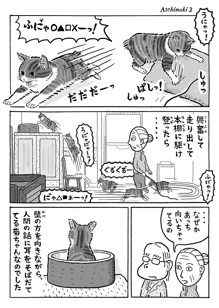 2ページ猫漫画「あっち向いてプン」 #猫の菊ちゃん 