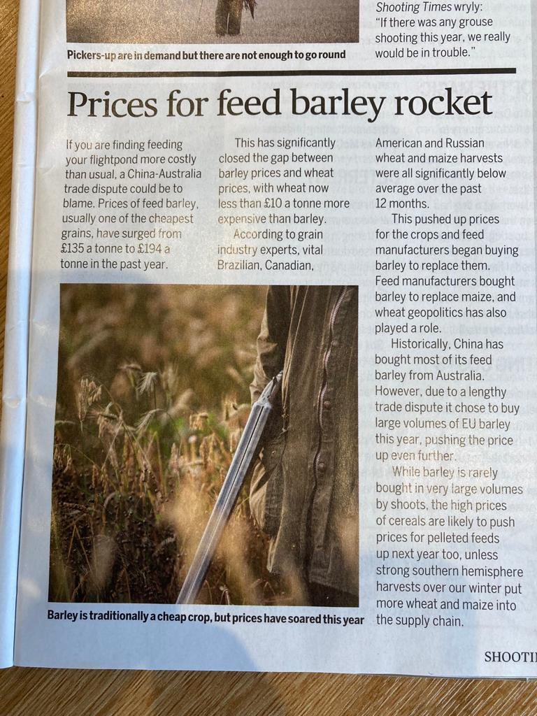 keeperschoice's tweet photo. The Shooting Times &amp; Country Magazine has reported that wheat is now less than £10 a tonne more experience than barley following a trade dispute between China and Australia. 

Read more below 👇 https://t.co/MkIJ30rSii
