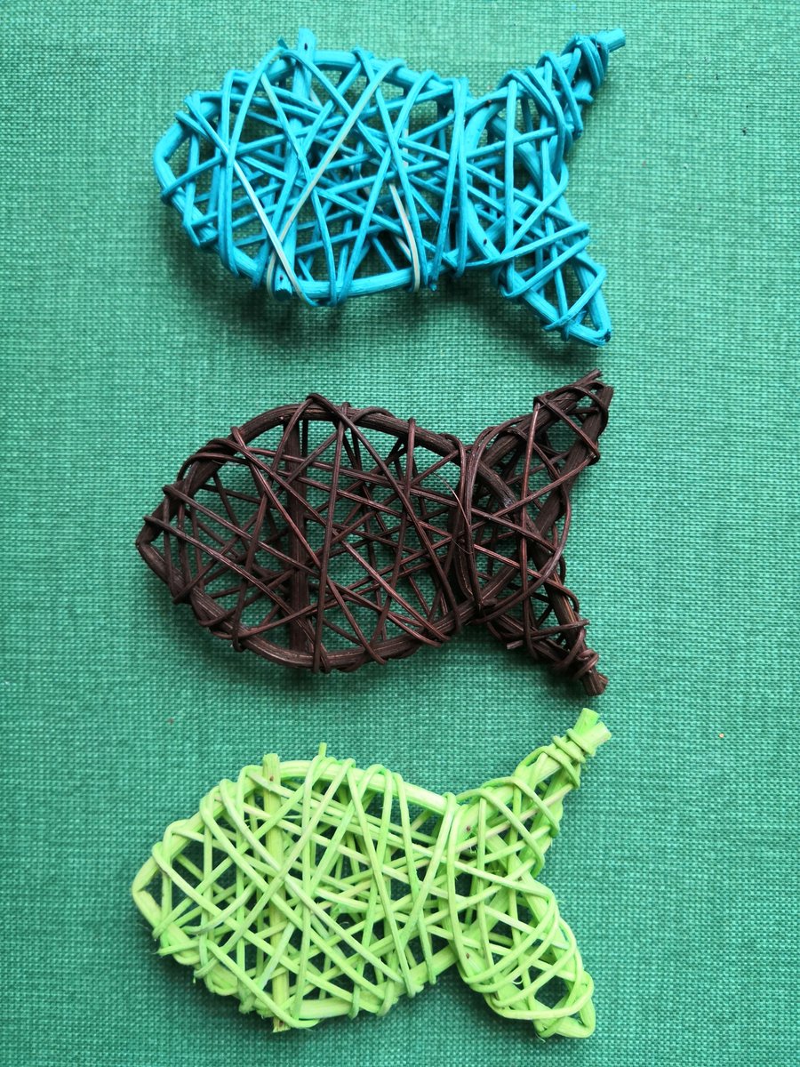 LSKlearning's tweet photo. Tomorrow, final session of The @project_oceanic Coral Squad Program - #ExplorerMindset tokens ready to #ConnectFurther.
10 young Mauritians inspired and empowered to be Caring and Responsible Planetary Stewards.
#EducatorExplorer #StudentExplorers💛🌊🇲🇺 https://t.co/dxl5OUSH8s