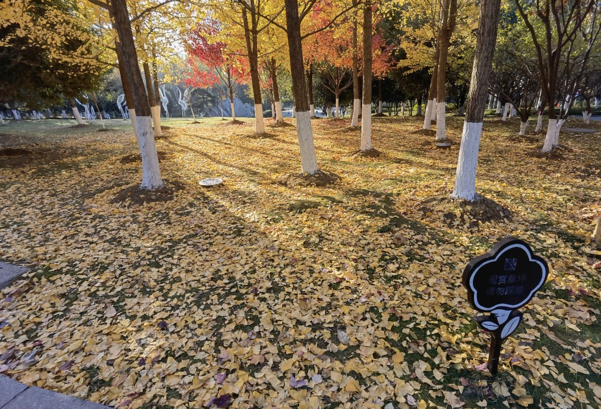 YellowCraneT's tweet photo. The beautiful autumn color palette of The Yellow Crane Tower! Enjoy!!! 🍁🍂 https://t.co/ExHxYXLWHE