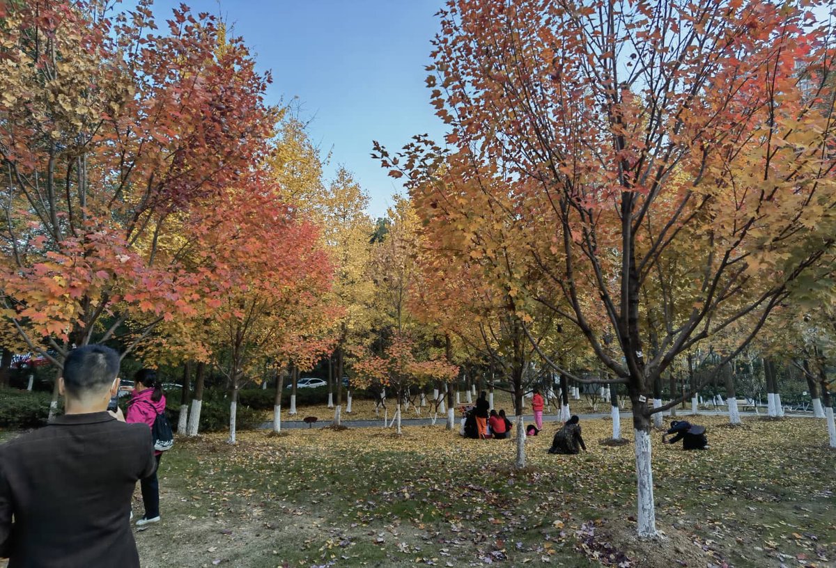 YellowCraneT's tweet photo. The beautiful autumn color palette of The Yellow Crane Tower! Enjoy!!! 🍁🍂 https://t.co/ExHxYXLWHE
