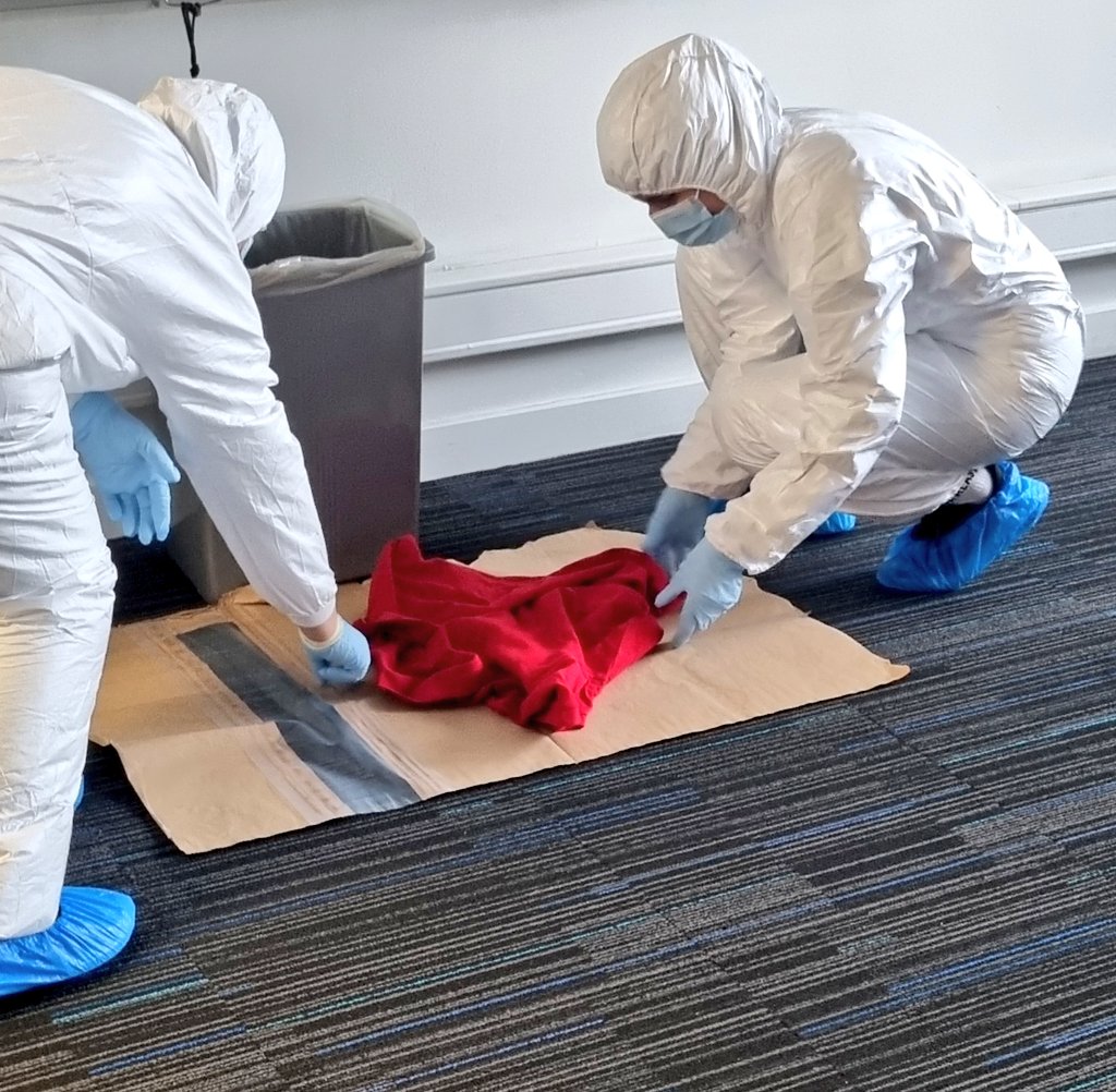 Another busy #ForensicFriday for the @kingsforensics #MScForensicScience students - collecting evidence to later analyse in the lab for body fluid identification🩸and #DNA analysis 🧬.

What evidence types can you see? 👀🔦🔎

#ForensicScience #ForensicBiology #CSI