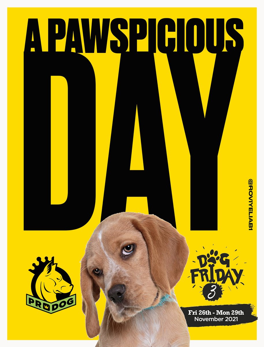 roviyeliab1's tweet photo. A 'Pawspicious Day'
Create posters to celebrate #DogFriday & promote the #UltimuttMegaDraw with @ProdogRaw @OneMinuteBriefs https://t.co/GSl1oAA1RG