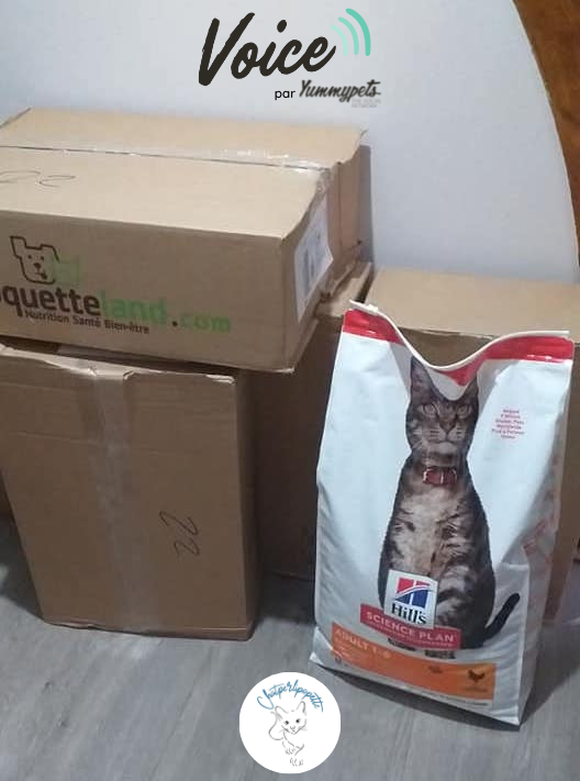 L'association Chatperlipopette a reçu ses 75kg d'alimentation grâce au programme solidaire Voice et à nos partenaires <a href="/CroquetteLand/">Croquetteland</a> et <a href="/hillspet/">Hill's Pet Nutrition</a>. 🥰
Merci pour vos clics solidaires sur sa cagnotte lors du mois d'octobre. 🙏